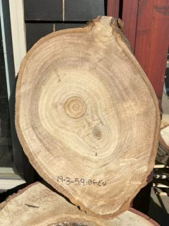 Eucalyptus
